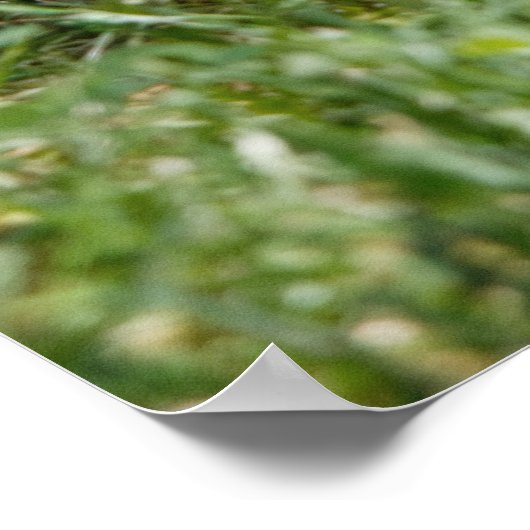 Chewing on it poster (Hoek)