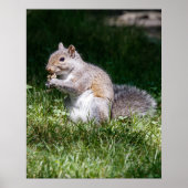 Chewing on it poster (Voorkant)