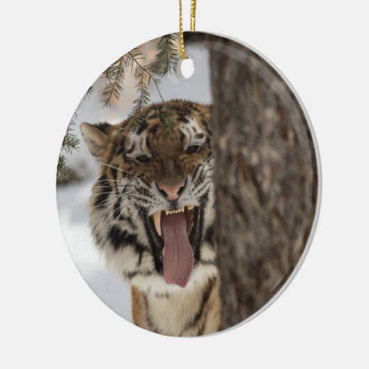 Chewy 2018 keramisch ornament (Links)