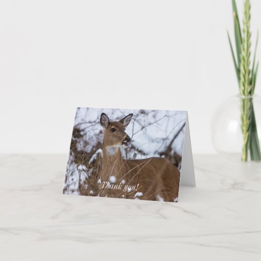 Chewy Dank je wel Bedankkaart (Voorkant)