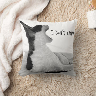 Chewy sez... Ik wil het niet. Kussen