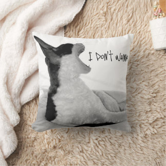 Chewy sez... Ik wil het niet. Kussen