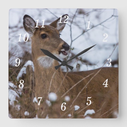 Chewy Wall Clock Vierkante Klok (Voorkant)