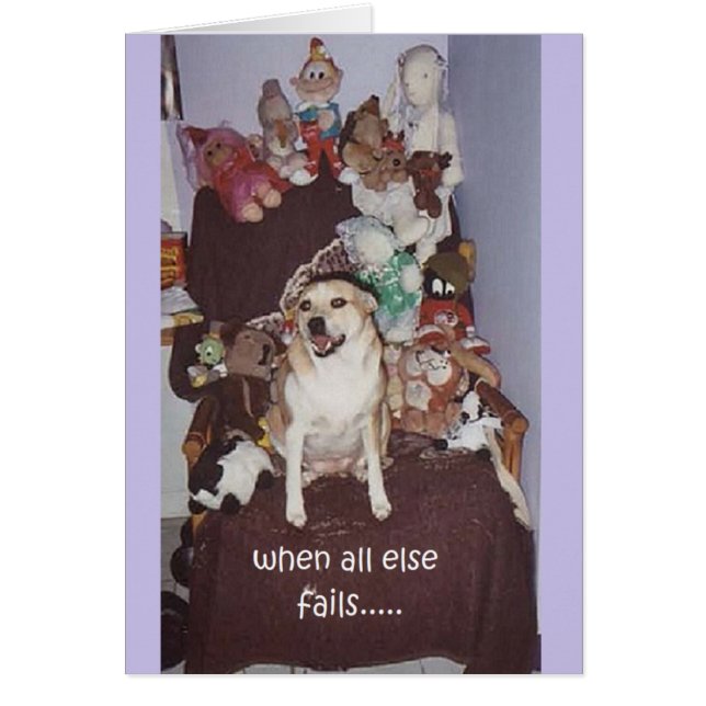 cheyanne door peace willow (Voorkant)