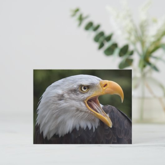 Cheyenne Briefkaart (Staand voorkant)