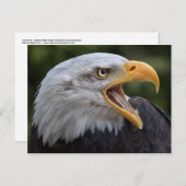 Cheyenne Briefkaart (Voorkant / Achterkant)