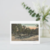 Cheyenne Canyon, Colorado - Uitzicht Stratton Park Briefkaart (Staand voorkant)