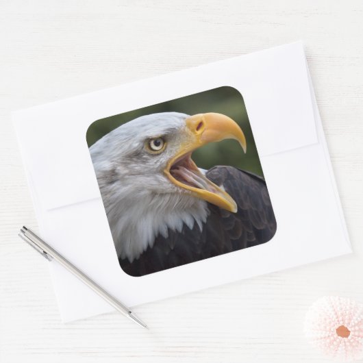 Cheyenne Sticker (Envelop)