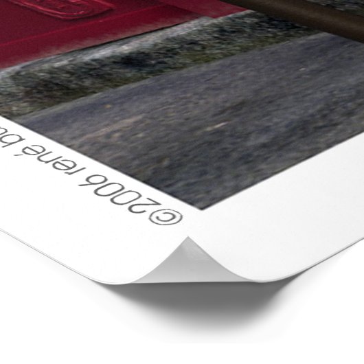 CHEZ RAYMOND POSTER (Hoek)