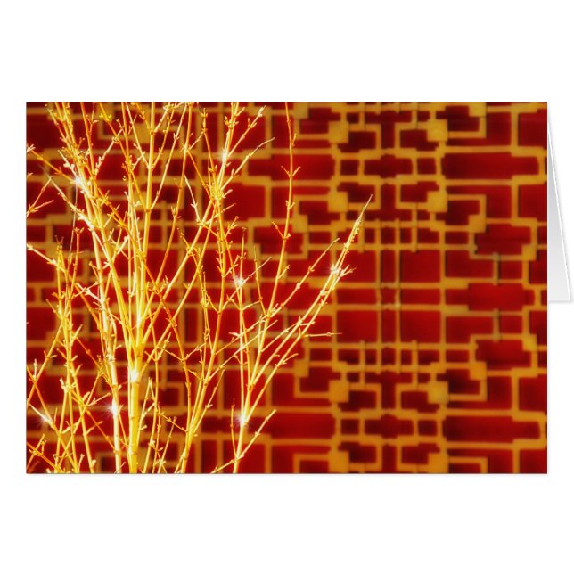 chi (Voorkant Horizontaal)