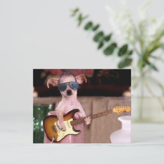 Chi Chi de gitaarspeler Briefkaart (Staand voorkant)
