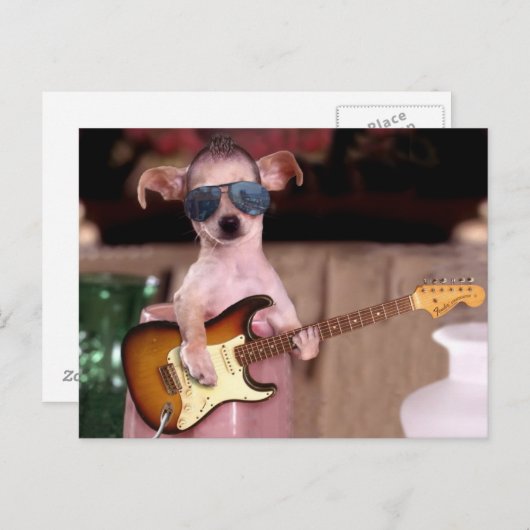 Chi Chi de gitaarspeler Briefkaart (Voorkant / Achterkant)