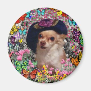Chi Chi in Butterflies - Chihuahua Magneet