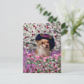 Chi Chi in Flowers Briefkaart - Chihuahua (Staand voorkant)