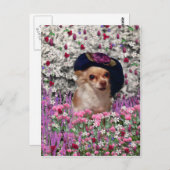 Chi Chi in Flowers Briefkaart - Chihuahua (Voorkant / Achterkant)