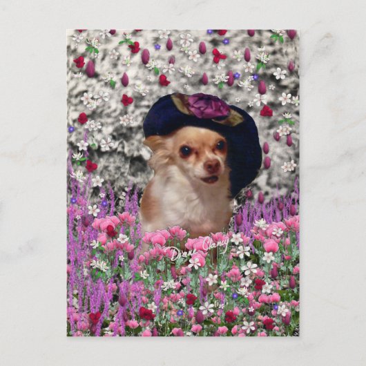 Chi Chi in Flowers Briefkaart - Chihuahua (Voorkant)