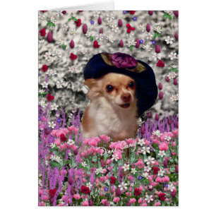 Chi Chi in Flowers - Chihuahua Puppy in Cute Pet