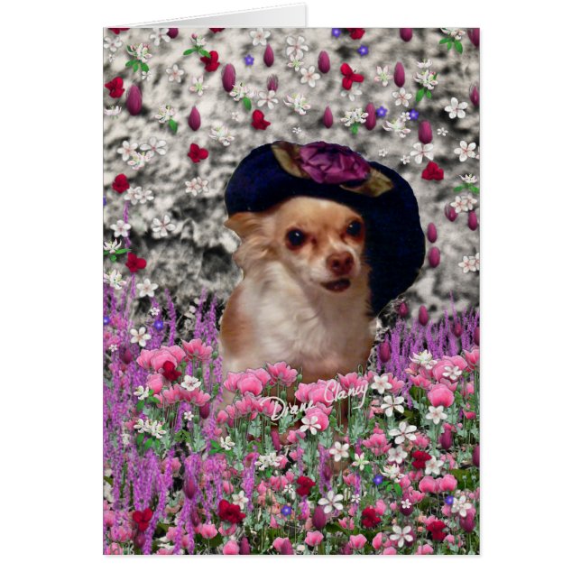 Chi Chi in Flowers - Chihuahua Puppy in Cute Pet (Voorkant)