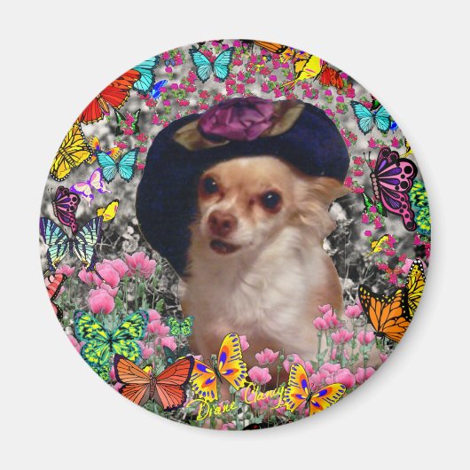 Chi Chi in Vlinders - Chihuahua Magneet (Voorkant)