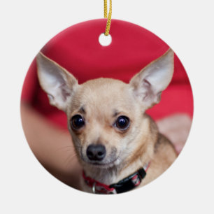 Chi Chi Sweet Pea Brown Chihuahua Ornament