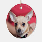 Chi Chi Sweet Pea Brown Chihuahua Ornament (Links)