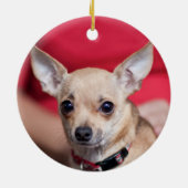 Chi Chi Sweet Pea Brown Chihuahua Ornament (Achterkant)
