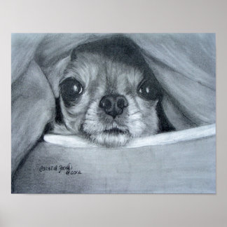 Chi Cuddle Time Poster