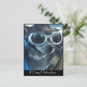 Chi Dog Briefkaart (Staand voorkant)