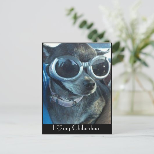 Chi Dog Briefkaart (Staand voorkant)