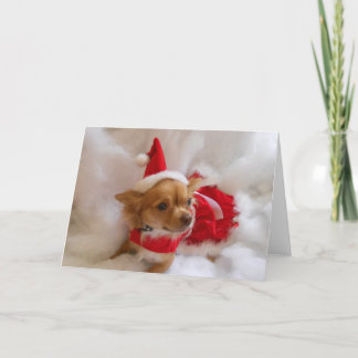 chi-kerstkaart feestdagen kaart