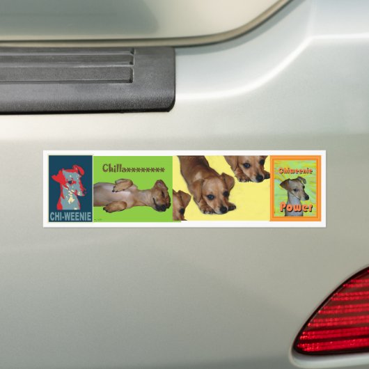 Chi-weenie Bumpersticker (Op auto)