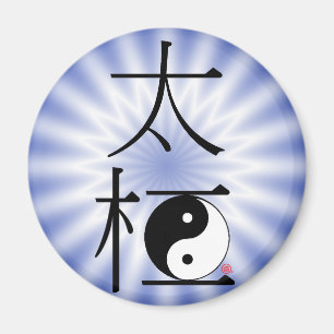 Chi Ying Yang Light Magneet