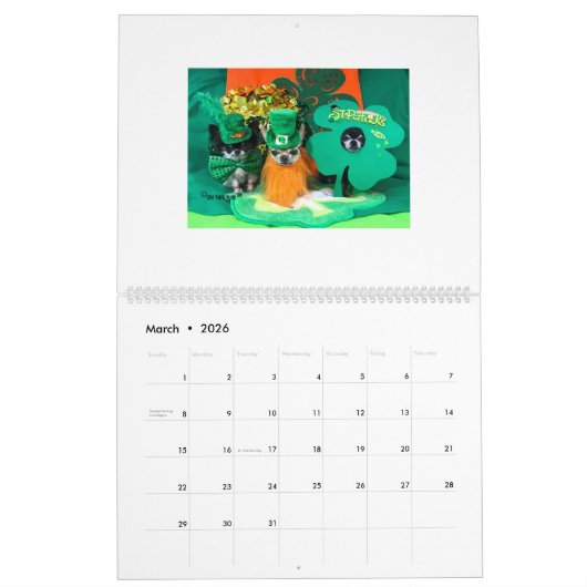 Chi Yum Yum 2020-kalender - Groot Kalender (Mar 2026)