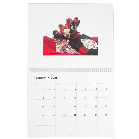 Chi Yum Yum 2020-kalender - Groot Kalender (Feb 2026)