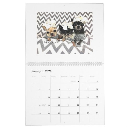 Chi Yum Yum 2020-kalender - Groot Kalender (Jan 2026)