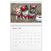 Chi Yum Yum 2020-kalender Kalender (Feb 2027)