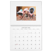 Chi Yum Yum 2021-kalender Kalender (Jan 2026)