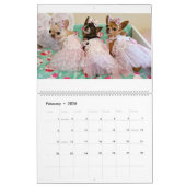 Chi Yum Yum Kalender 2017 (Feb 2026)