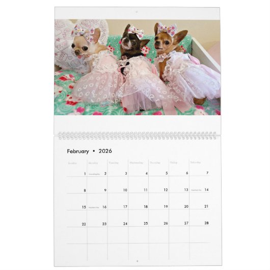 Chi Yum Yum Kalender 2017 (Feb 2026)