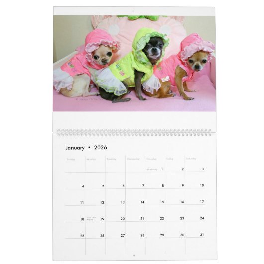 Chi Yum Yum Kalender 2017 (Jan 2026)