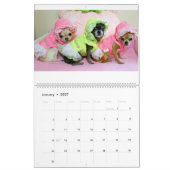 Chi Yum Yum Kalender 2017 (Jan 2027)