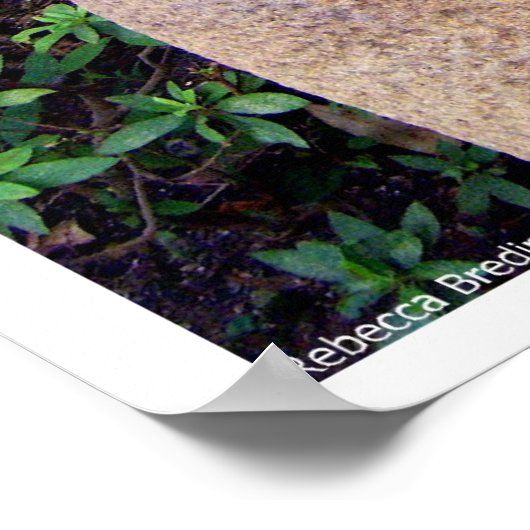 Chiba Monk Poster (Hoek)