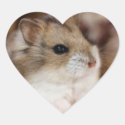 Chibby Hart Sticker (Voorkant)