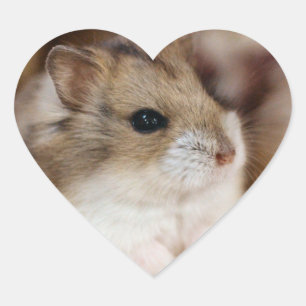 Chibby Hart Sticker