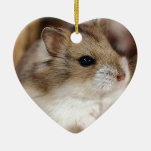 Chibby Keramisch Ornament