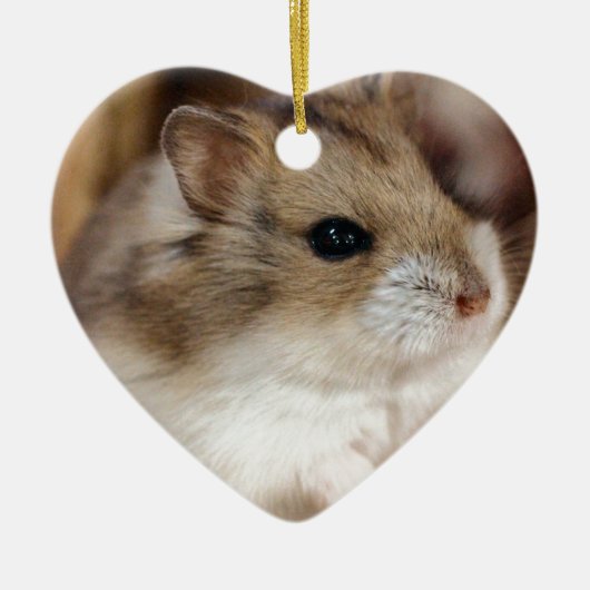 Chibby Keramisch Ornament (Voorkant)