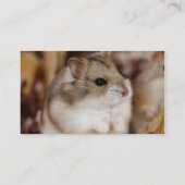 Chibby visitekaartjes (Achterkant)