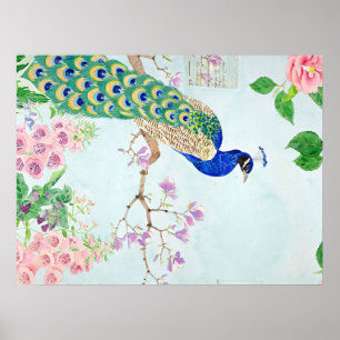 Chibi Peacock   Peacock Lover   Peacock Lover Art Poster