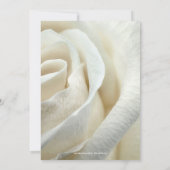 Chic Artistic Silver Ivory Roos Weddenschap Kaart (Achterkant)