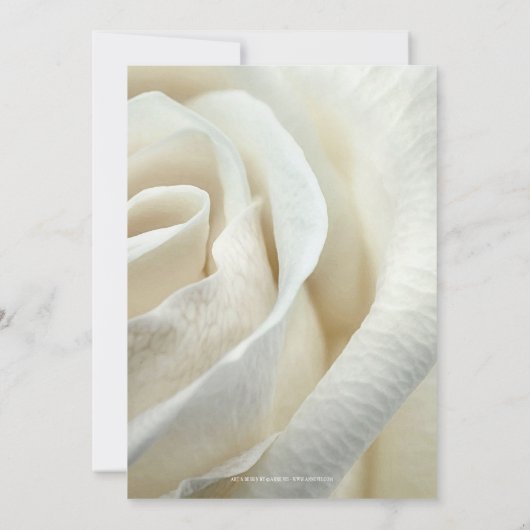 Chic Artistic Silver Ivory Roos Weddenschap Kaart (Achterkant)